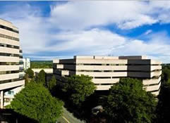 Sankaty Group in Cambridge, MA